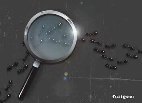 RATONET CONTROL PLAGUES S.L.