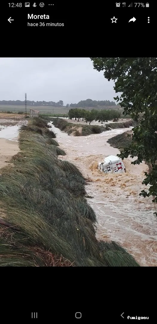 RATONET CONTROL PLAGUES S.L.