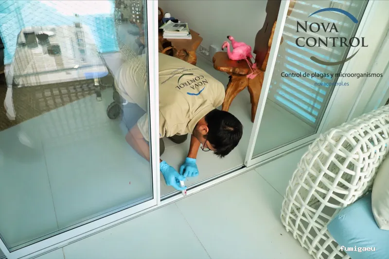 Nova Control - Control de plagas y microorganismos, en Ibiza y Formentera