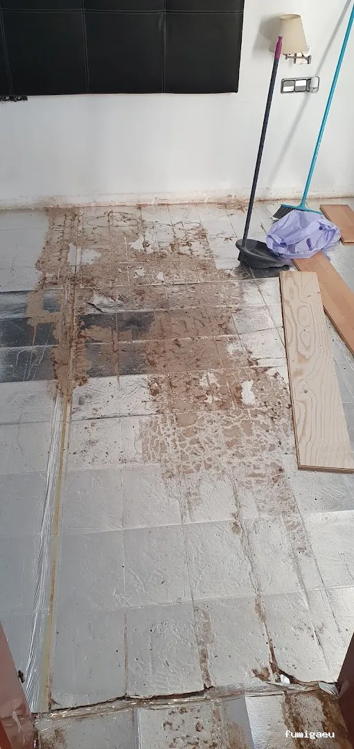 CÈNTRIC - Control de Plagues