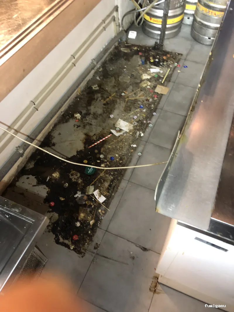 ECO K2 Sanidad Ambiental