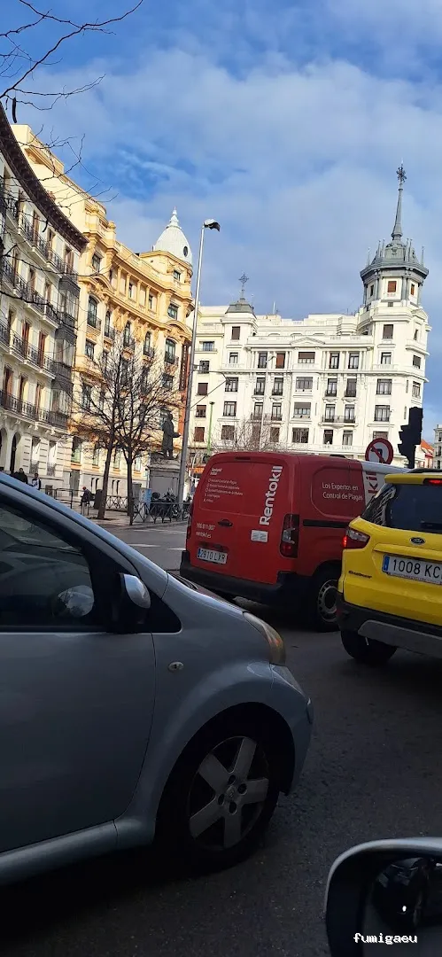 Rentokil Control de Plagas