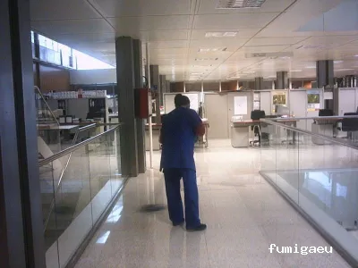 Grupo Balimsa - Limpiezas Mallorca