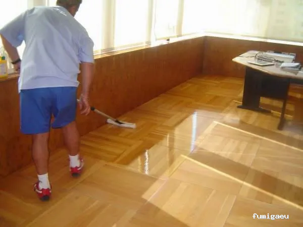 Grupo Balimsa - Limpiezas Mallorca