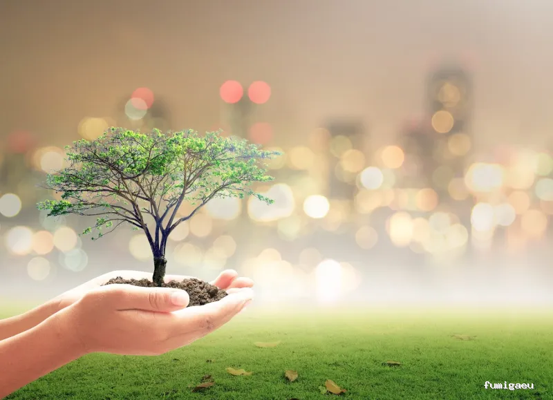 Grupo Balimsa - Limpiezas Mallorca