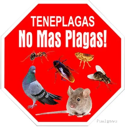 Teneplagas Lanzarote