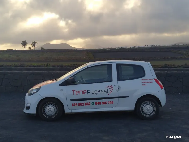 Teneplagas Lanzarote