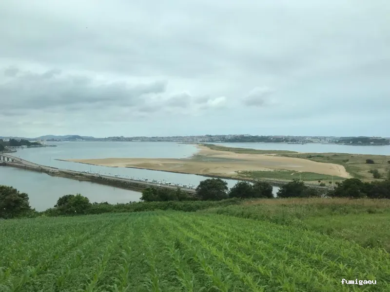 Suministros Fitosem S.L.