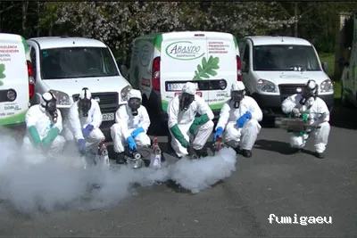 Abando Control de Plagas