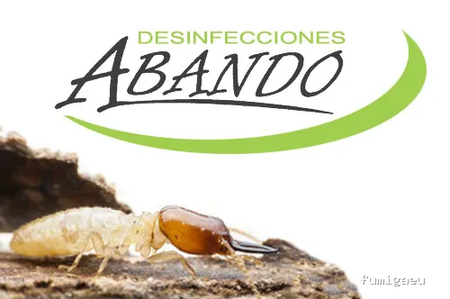 Abando Control de Plagas