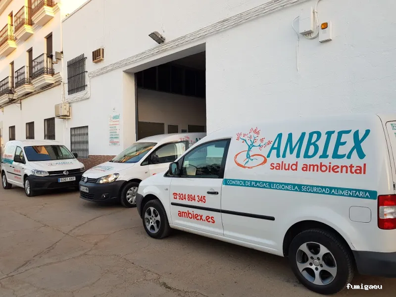 AMBIEX SALUD AMBIENTAL