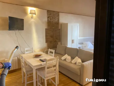 AMBIEX SALUD AMBIENTAL