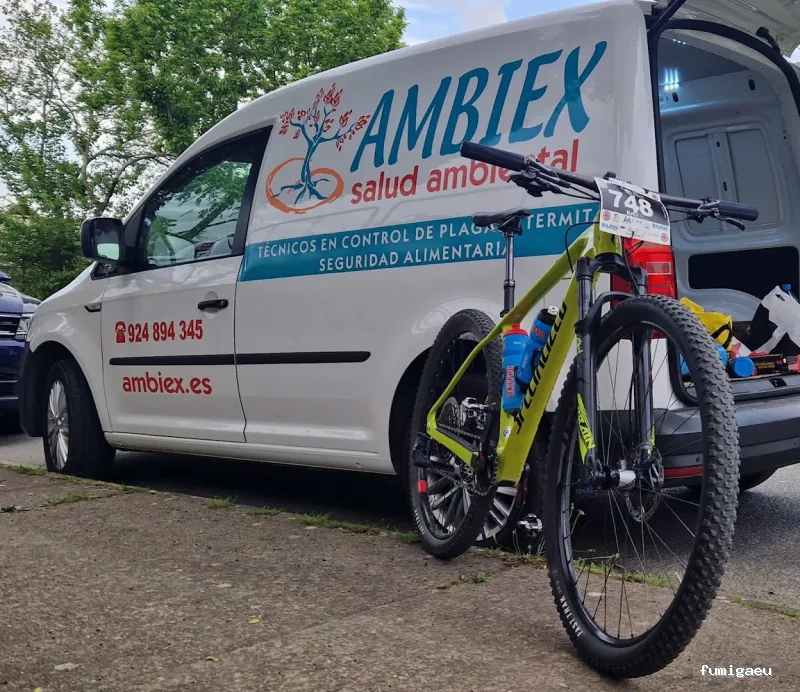 AMBIEX SALUD AMBIENTAL