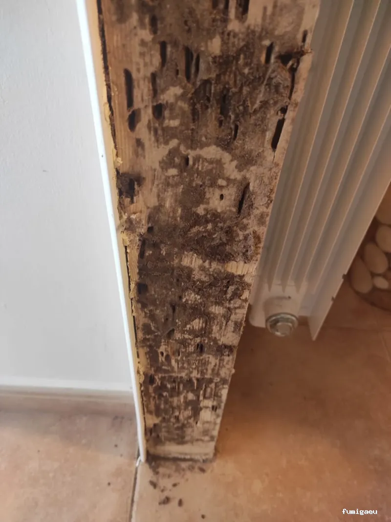 AMBIEX SALUD AMBIENTAL