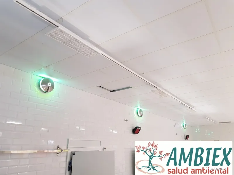 AMBIEX SALUD AMBIENTAL