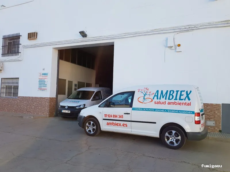 AMBIEX SALUD AMBIENTAL