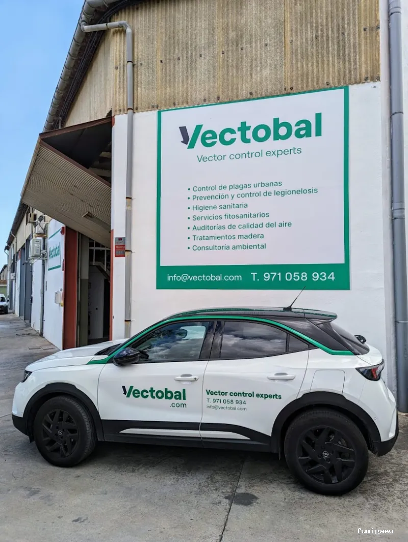 Vectobal