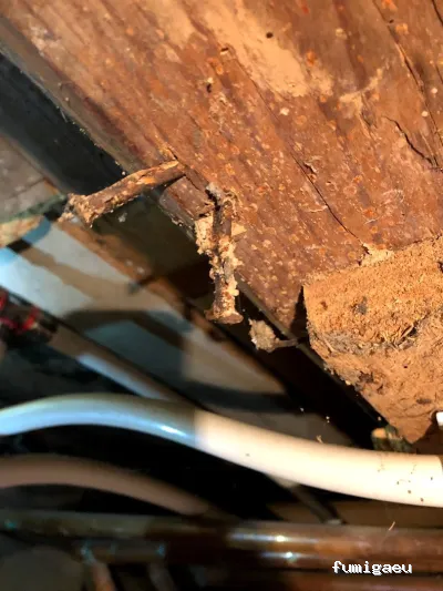 Deslaceyca Servicios Ambientales