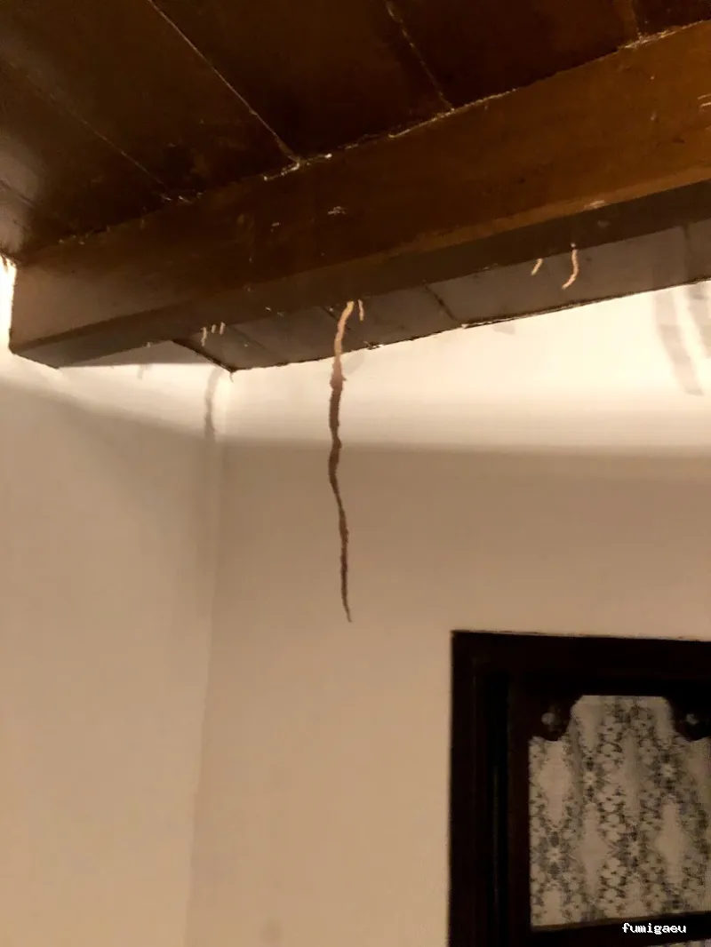 Deslaceyca Servicios Ambientales