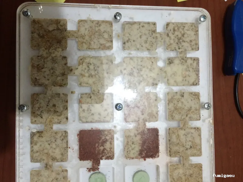 Deslaceyca Servicios Ambientales