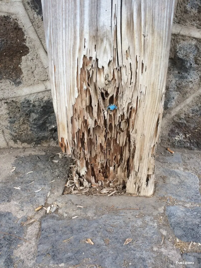 Deslaceyca Servicios Ambientales