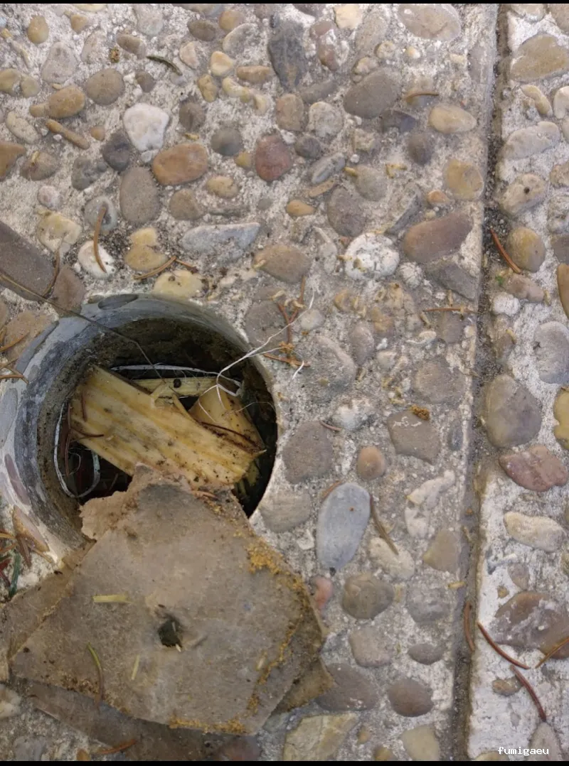 Deslaceyca Servicios Ambientales