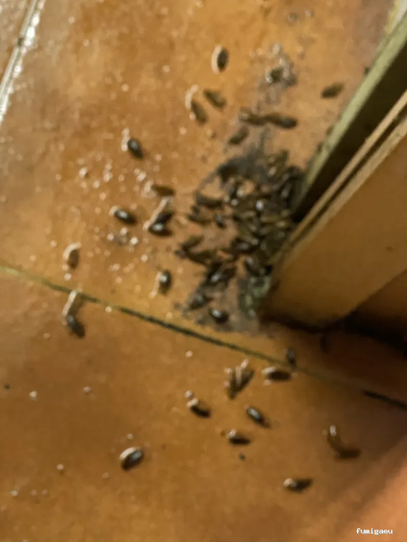 JANDA SOCIO AMBIENTAL S.L.U