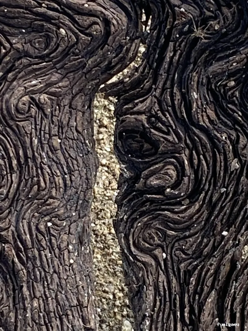 JANDA SOCIO AMBIENTAL S.L.U