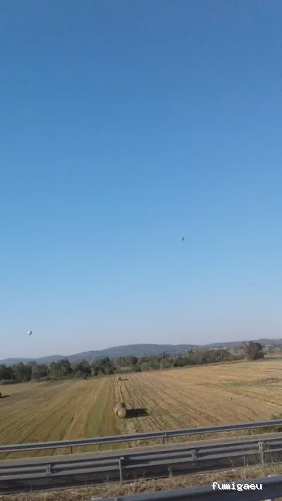 MediNet Higiene Ambiental