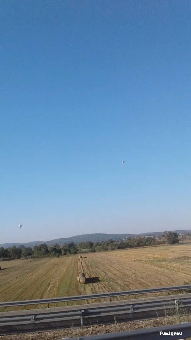 MediNet Higiene Ambiental