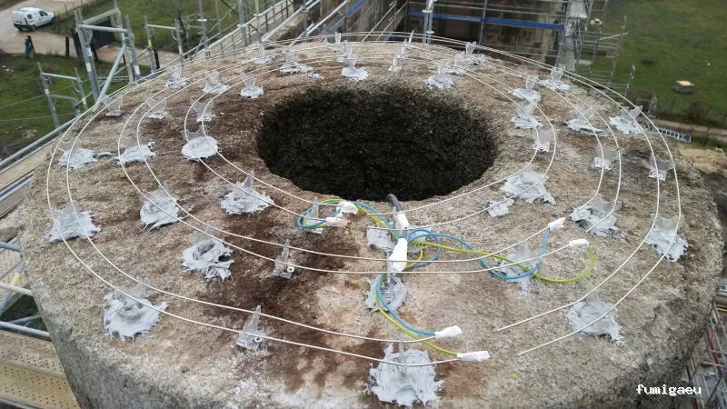 CONTROL DE PLAGAS APLISA S.l. MADRID