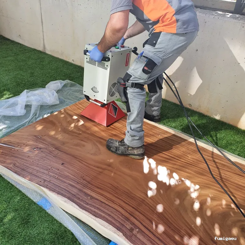 CONTROL DE PLAGAS APLISA S.l. MADRID