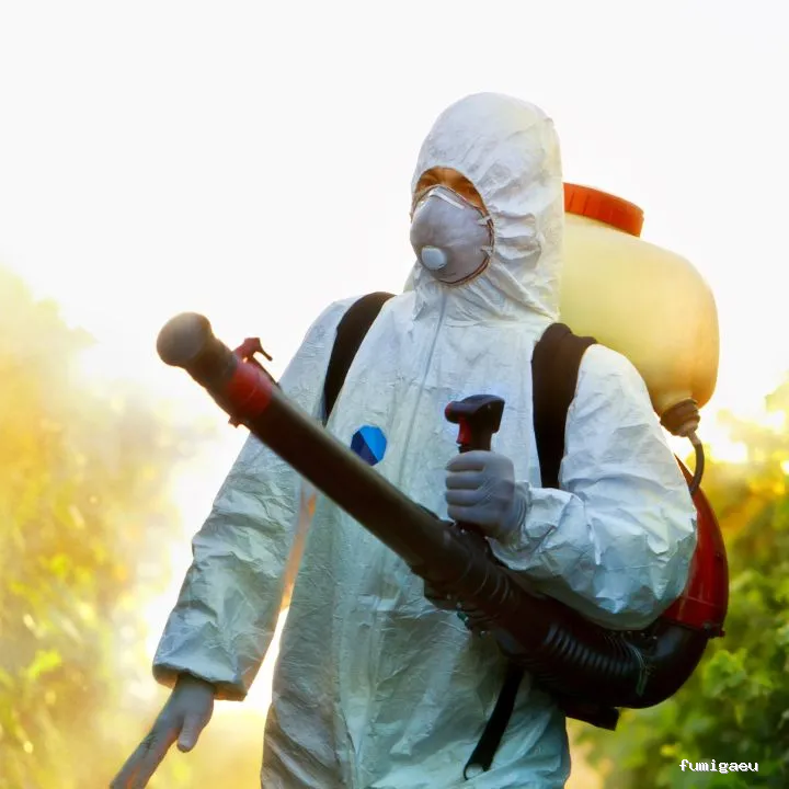 Biocisal Control de Plagas Madrid SL - Desratización, Desinsectación y Desinfección