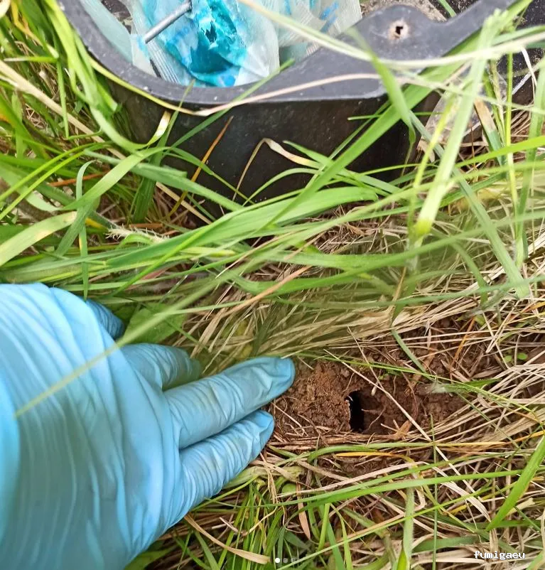 Biocisal Control de Plagas Madrid SL - Desratización, Desinsectación y Desinfección