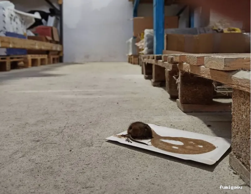 Biocisal Control de Plagas Madrid SL - Desratización, Desinsectación y Desinfección