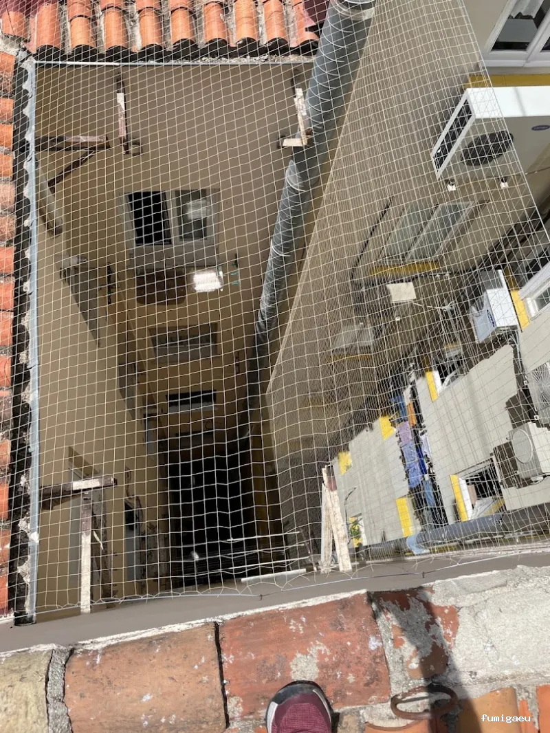 Biocisal Control de Plagas Madrid SL - Desratización, Desinsectación y Desinfección