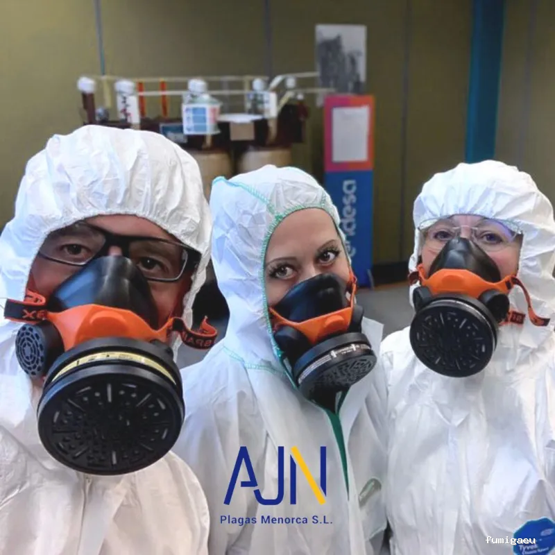 AJN PLAGAS MENORCA
