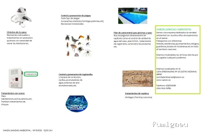 Control de Plagas Bilbao: SANEN