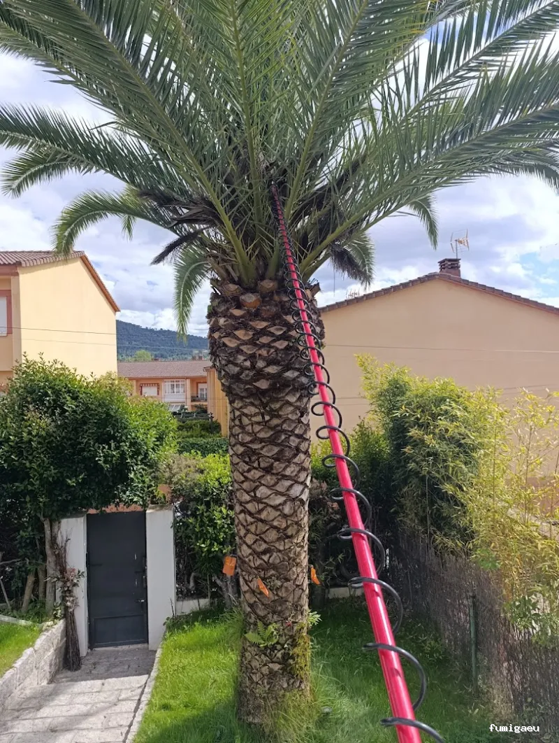 Control de plagas en Ávila