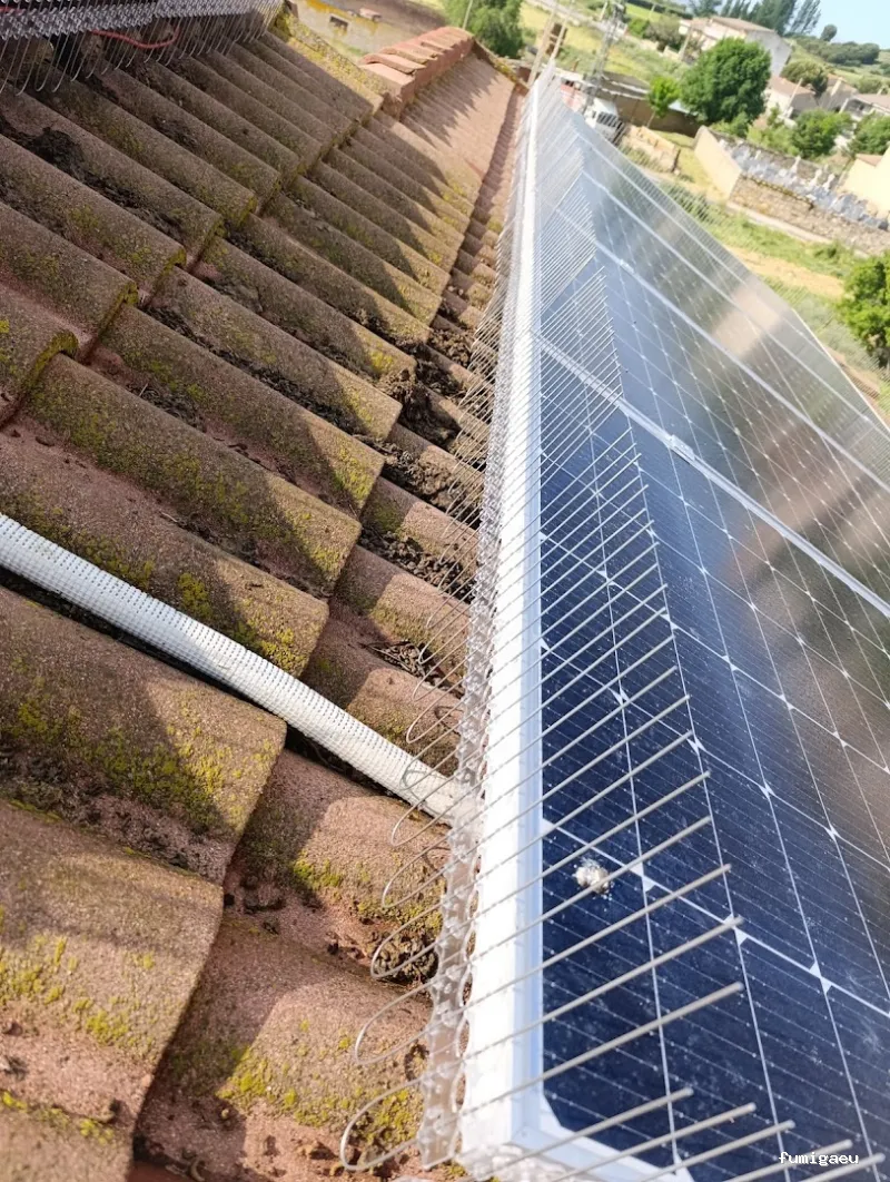 Control de plagas en Ávila