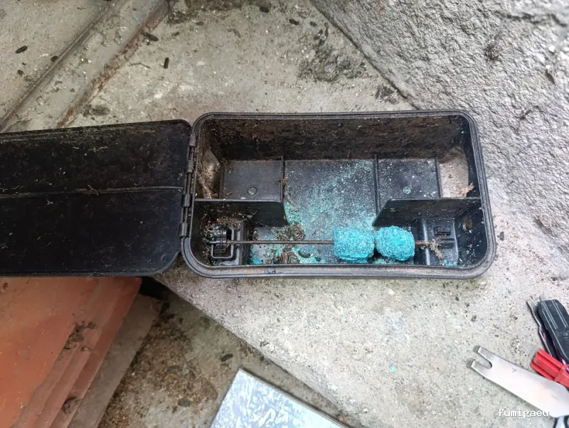 Control de plagas en Ávila