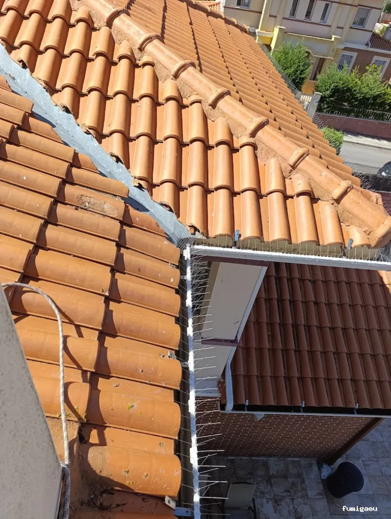 Control de plagas en Ávila