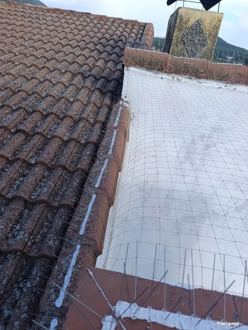 Control de plagas en Ávila