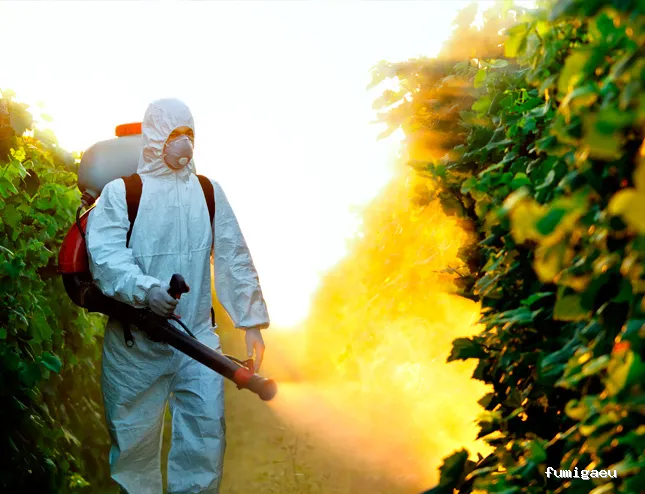Codexur Consultoría Alimentaria y Ambiental