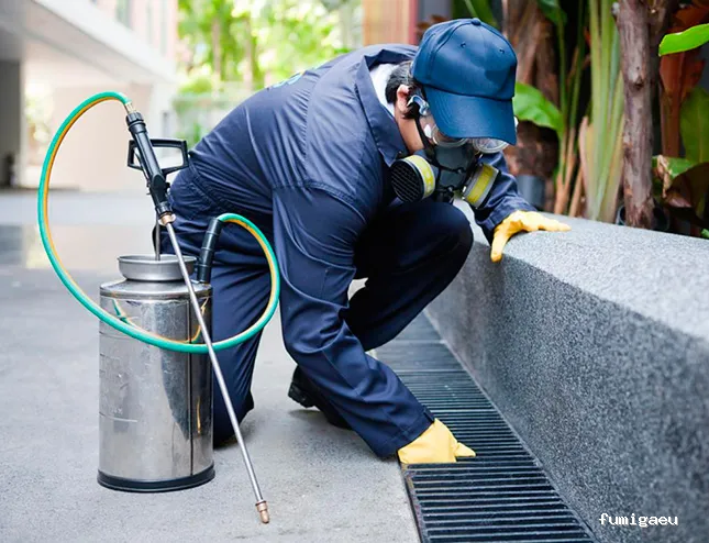 Codexur Consultoría Alimentaria y Ambiental