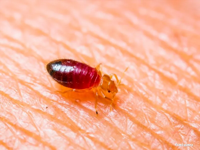 Codexur Consultoría Alimentaria y Ambiental