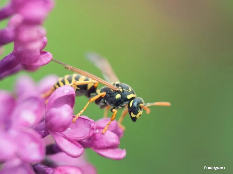 Codexur Consultoría Alimentaria y Ambiental
