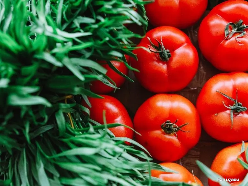 Codexur Consultoría Alimentaria y Ambiental