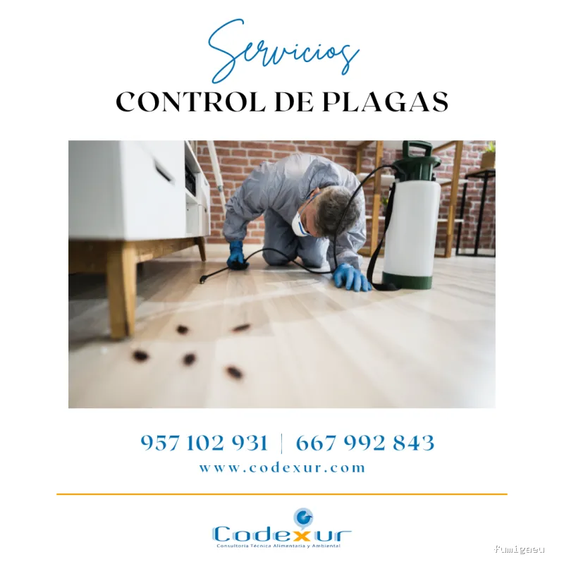 Codexur Consultoría Alimentaria y Ambiental