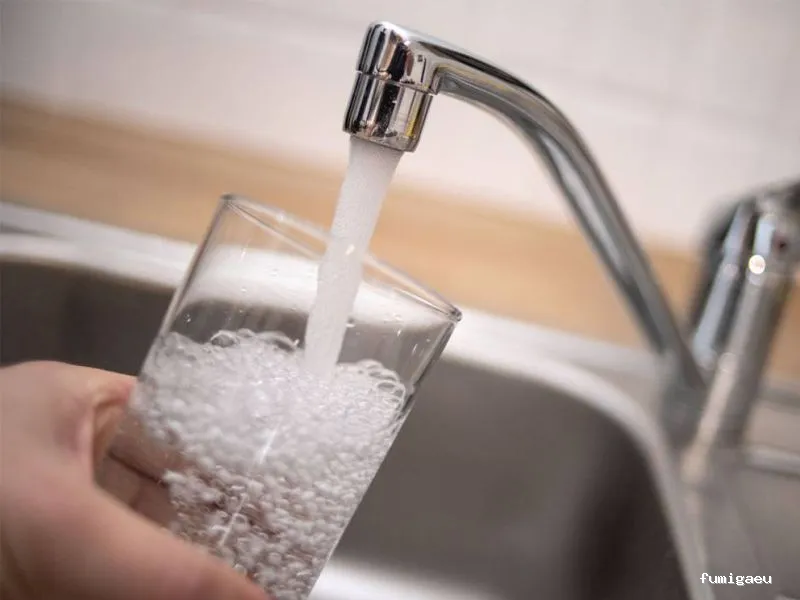 Codexur Consultoría Alimentaria y Ambiental